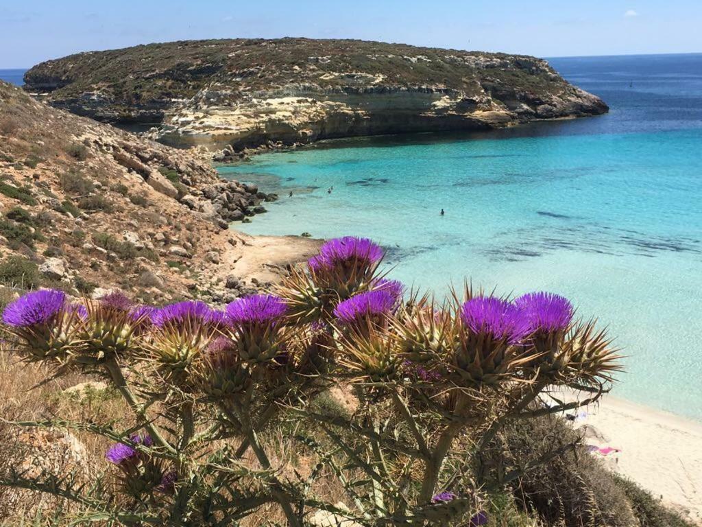 A Sud - Lampedusa